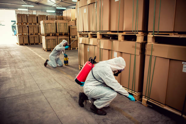Best Pest Control Near Me  in Mount Vernon, NY