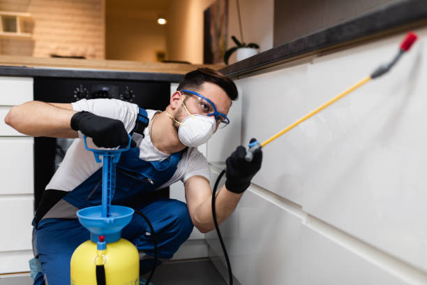 Best Ant Control Services  in Mount Vernon, NY