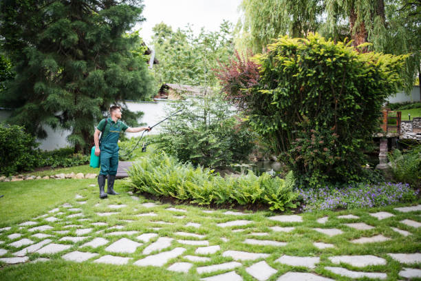 Pest Prevention Services in Mount Vernon, NY