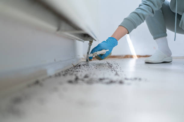 Best Pest Inspection Near Me  in Mount Vernon, NY